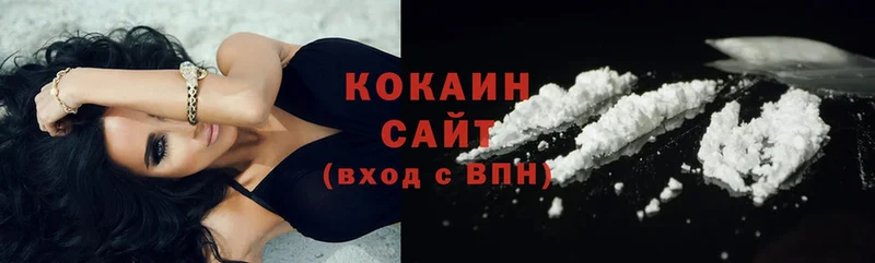 где можно купить   Новоузенск  COCAIN Эквадор 